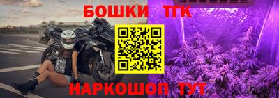 гидра Кингисепп