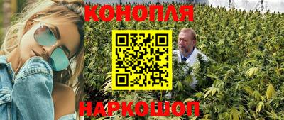 гидра Кингисепп