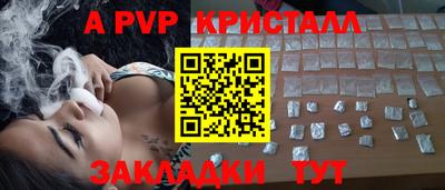 гидра Кингисепп