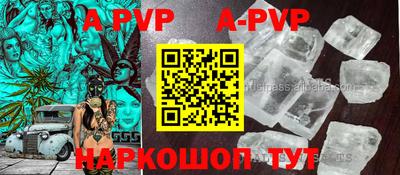 гидра Кингисепп
